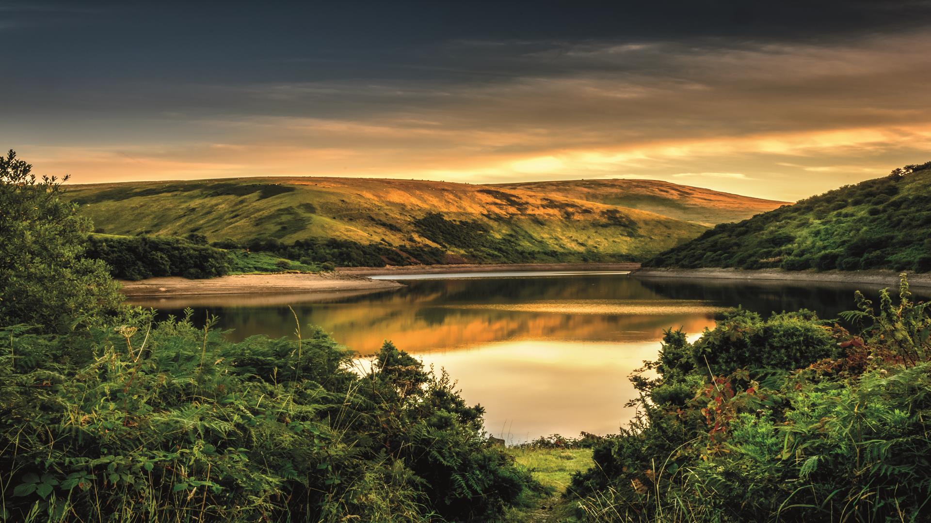 Dartmoor NP